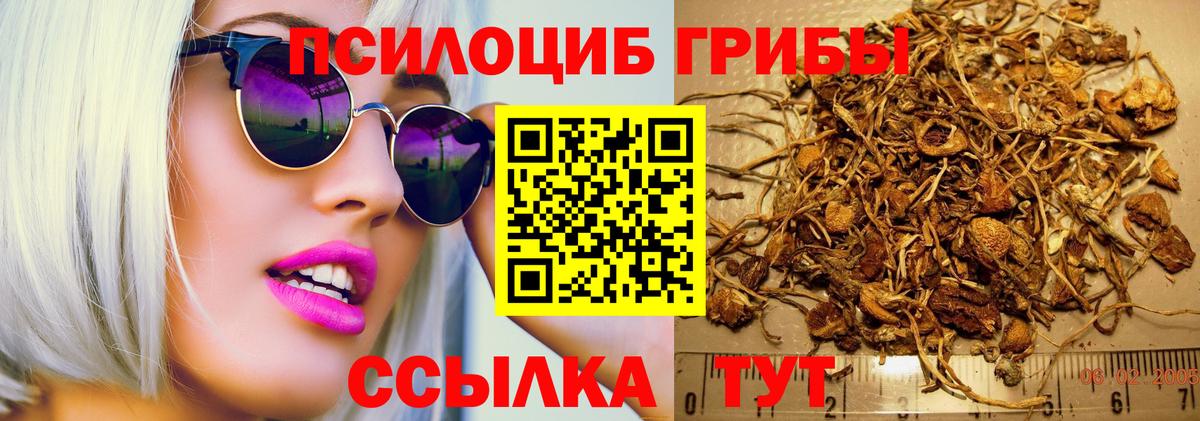 Галлюциногенные грибы прущие грибы  Вход с VPN  купить  сайты  Курчатов 